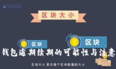 数字钱包逾期续期的可能