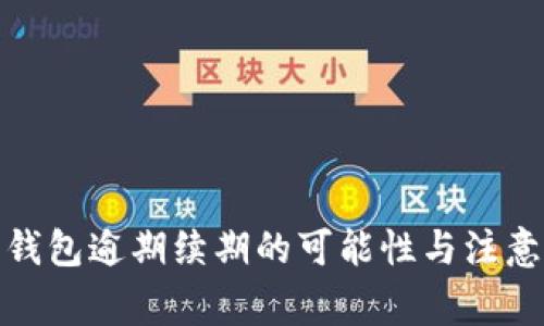 数字钱包逾期续期的可能性与注意事项