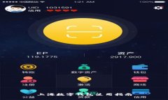 上海数字钱包使用指南