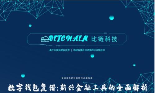 
数字钱包复借：新兴金融工具的全面解析