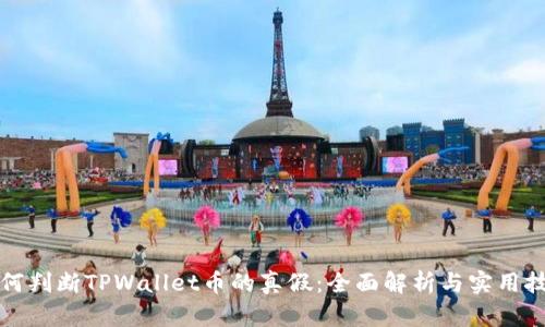 如何判断TPWallet币的真假：全面解析与实用技巧