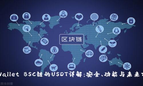 TPWallet BSC链的USDT详解：安全、功能与未来前景