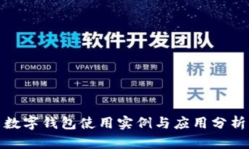 数字钱包使用实例与应用分析