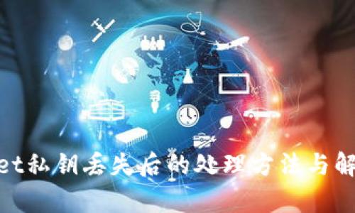 tpwallet私钥丢失后的处理方法与解决策略