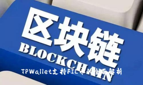 TPWallet支持FIL币的全面解析