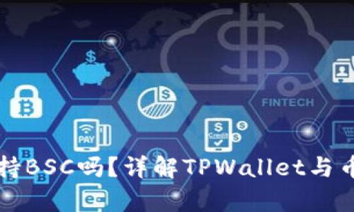 TPWallet电脑版支持BSC吗？详解TPWallet与币安智能链的兼容性