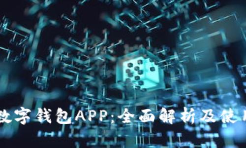 工行数字钱包APP：全面解析及使用指南