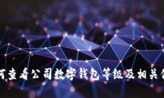 如何查看公司数字钱包等
