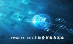TPWallet BNB手续费详解与策