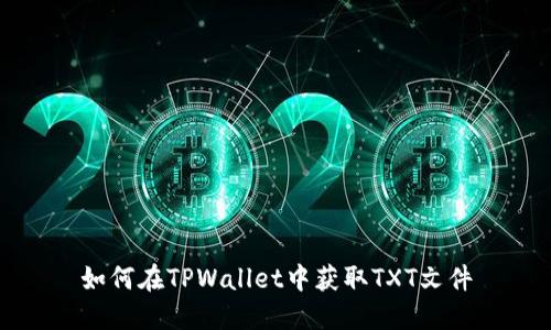 如何在TPWallet中获取TXT文件