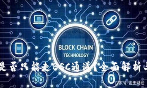 TPWallet是否只能走BSC通道？全面解析与实用指南