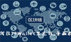 如何往TPWallet里充钱：全面