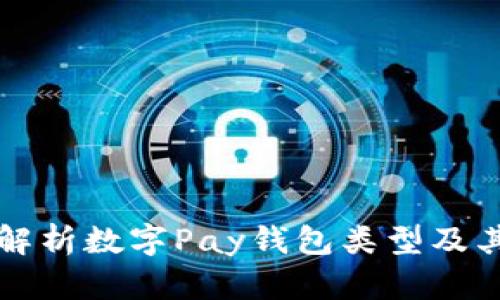 全面解析数字Pay钱包类型及其特点
