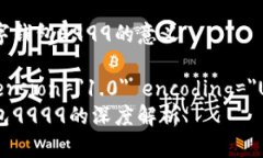 理解数字钱包9999的意义