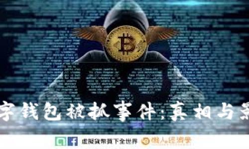 福州数字钱包被抓事件：真相与影响分析