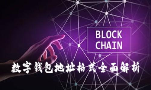 数字钱包地址格式全面解析
