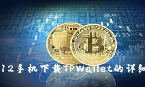 苹果12手机下载TPWallet的详细指南