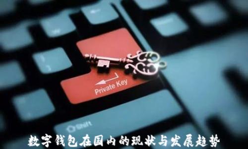 
数字钱包在国内的现状与发展趋势