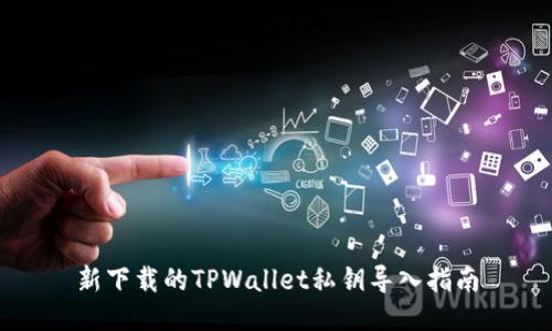 新下载的TPWallet私钥导入指南