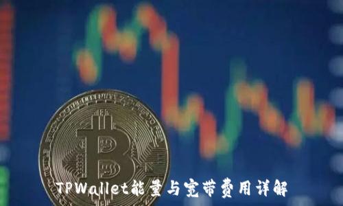   
TPWallet能量与宽带费用详解
