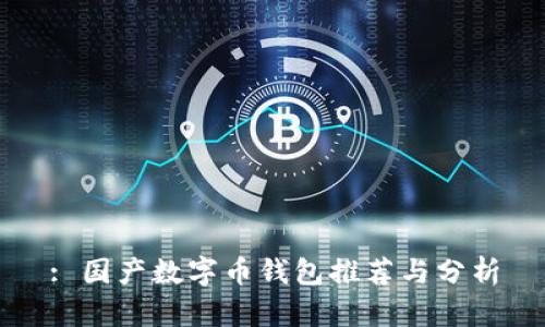 : 国产数字币钱包推荐与分析