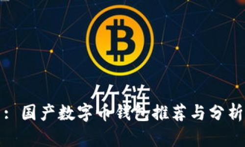 : 国产数字币钱包推荐与分析