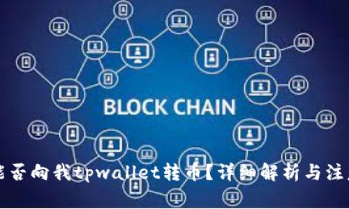 国外能否向我tpwallet转币？详细解析与注意事项