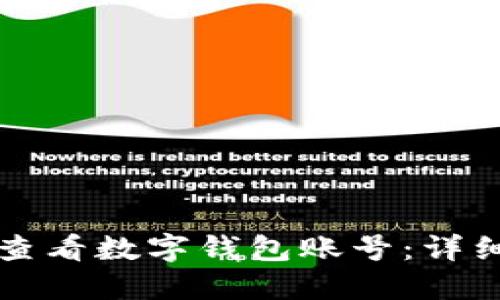 如何查看数字钱包账号：详细指南