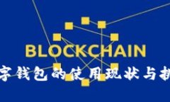 数字钱包的使用现状与挑战