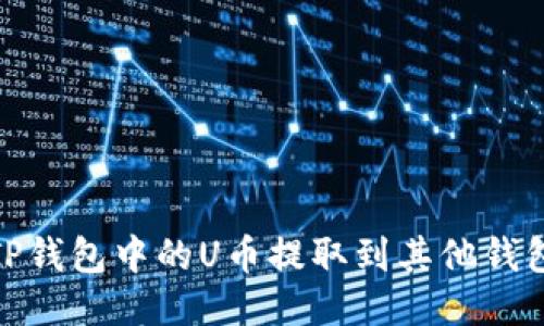 : 如何将TP钱包中的U币提取到其他钱包或交易所