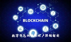 数字钱包的转账账户限制解析