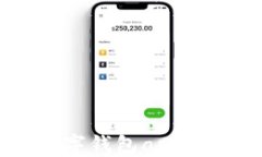 手机数字钱包app下载指南