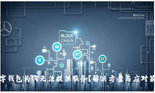 数字钱包为何无法提供服务？解决方案与应对策略