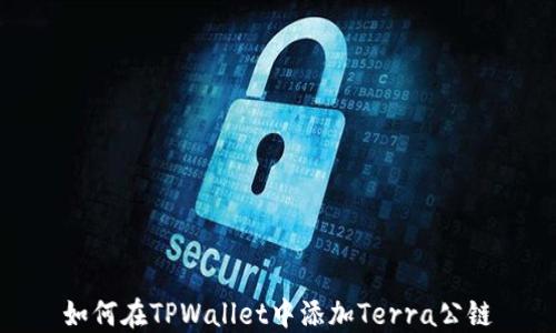 
如何在TPWallet中添加Terra公链