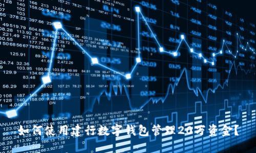 如何使用建行数字钱包管理20万资金？