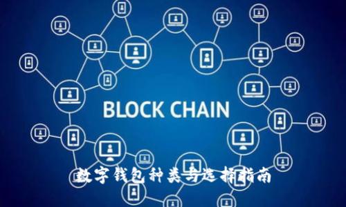 数字钱包种类与选择指南