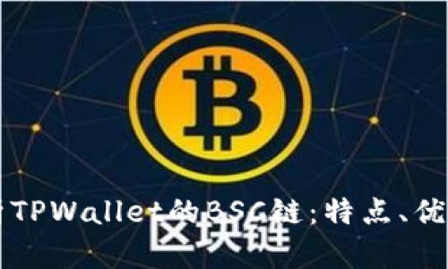 深入解析TPWallet的BSC链：特点、优势与应用