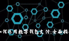 如何运用数字钱包支付：