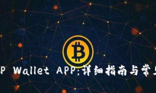 如何使用TP Wallet APP：详细指南与常见问题解答