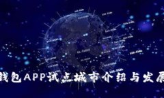 数字钱包APP试点城市介绍