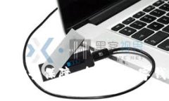 biao ti/biao ti2021年数字钱包